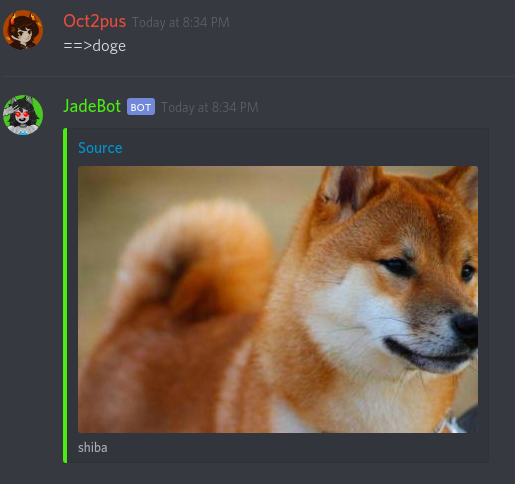 A picture of a Shiba Inu, they are looking very seriously towards the right.