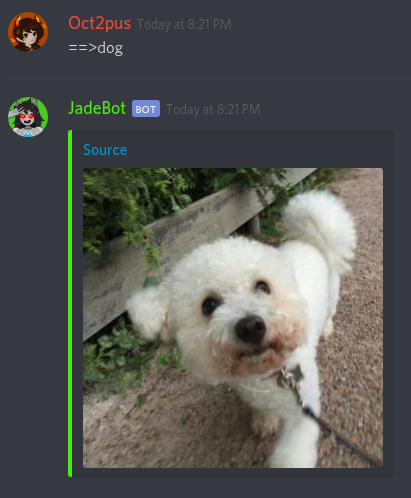 For you blind readers out there please know I am very bad at identifying dogs. It looks like a toy species of some kind? white fur, being led by a collar.